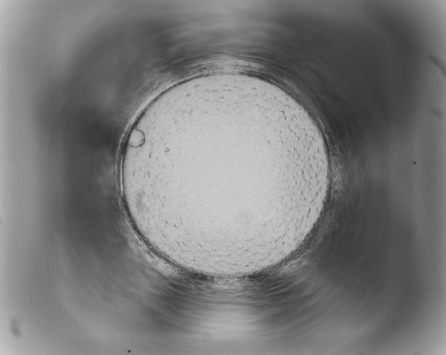 X0000103950843200810171836