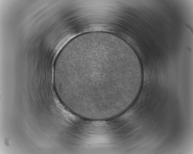 X0000103950844200810171836