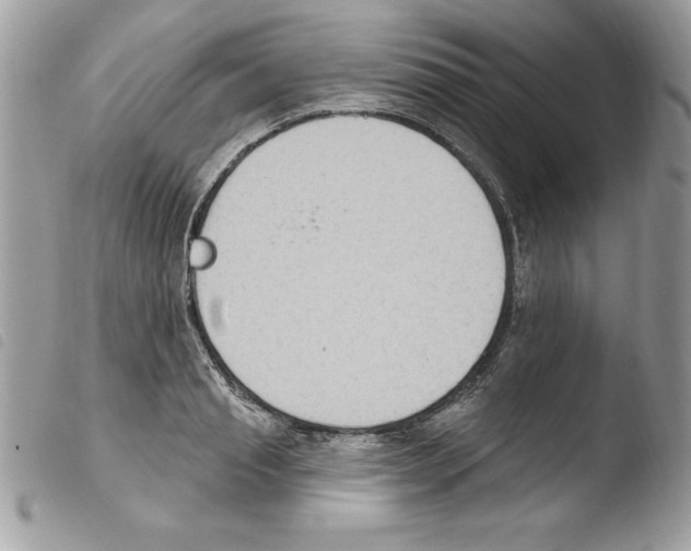 X0000103950845200810171836