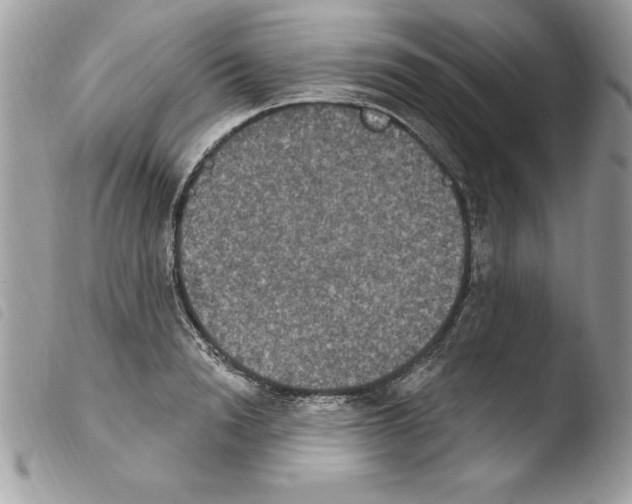 X0000103950846200810171836