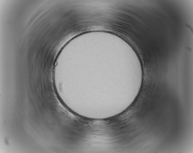 X0000103950847200810171836
