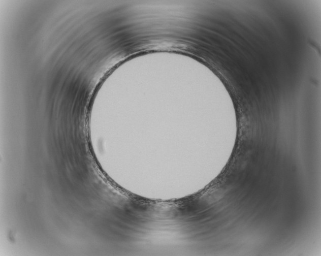 X0000103950848200810171836
