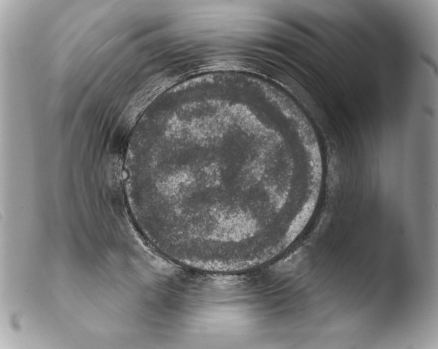 X0000103950849200810171836