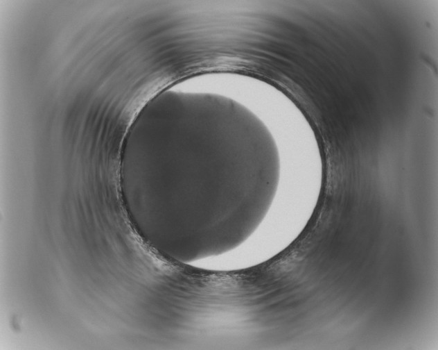 X0000103950850200810171836