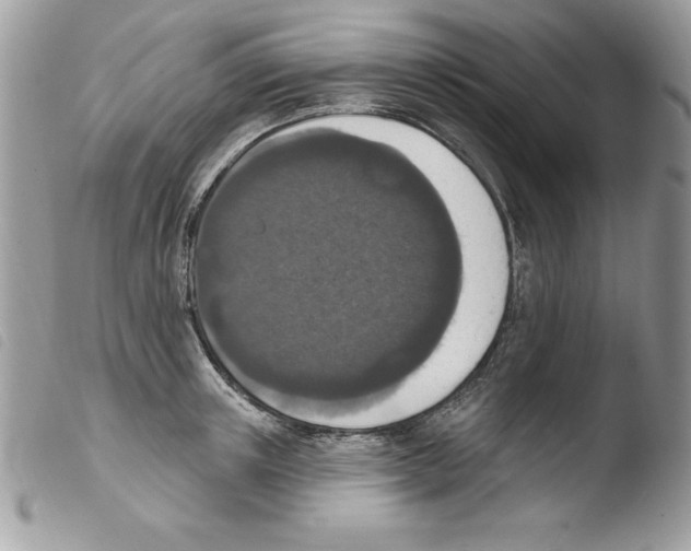 X0000103950851200810171836