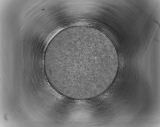 X0000103950852200810171836