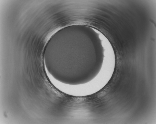 X0000103950854200810171837