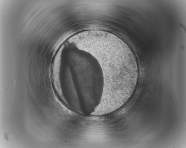 X0000103950855200810171837
