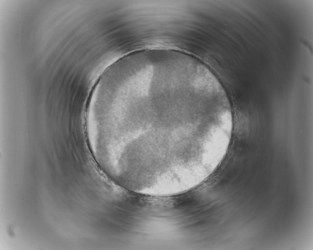 X0000103950856200810171837
