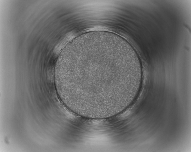 X0000103950857200810171837