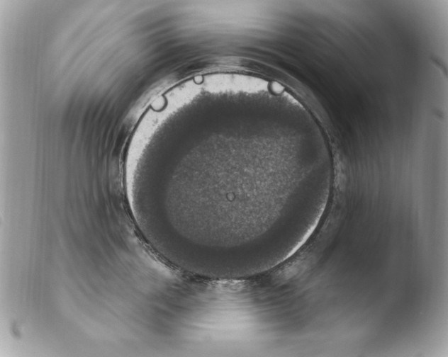 X0000103950858200810171837