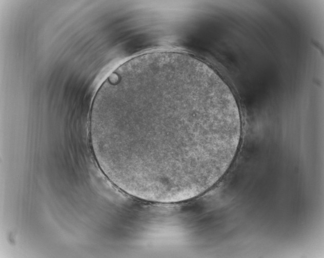 X0000103950860200810171837