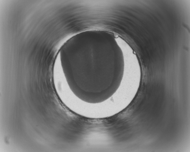 X0000103950862200810171837