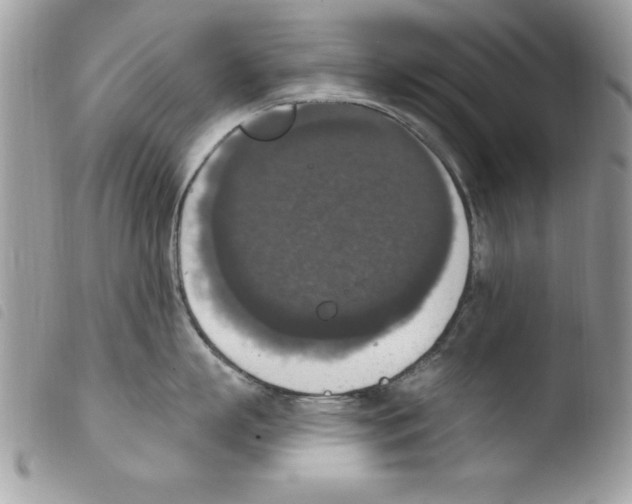 X0000103950863200810171837