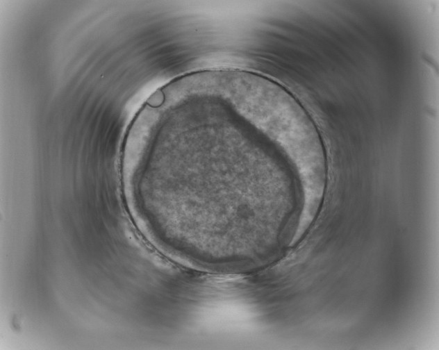 X0000103950864200810171837