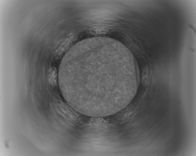 X0000103950866200810171836