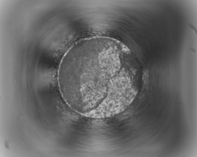 X0000103950867200810171836