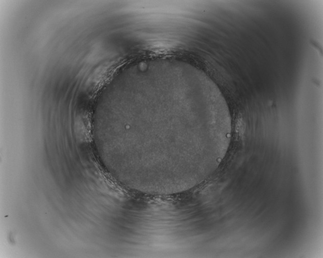 X0000103950868200810171836