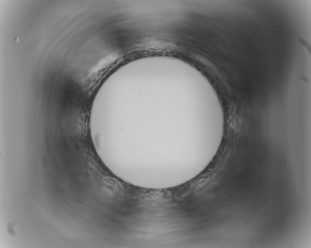X0000103950869200810171836