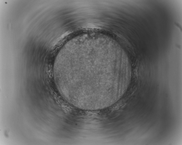 X0000103950870200810171836