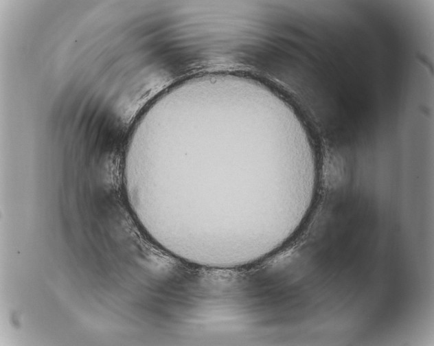 X0000103950873200810171836