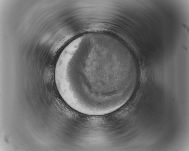 X0000103950874200810171836
