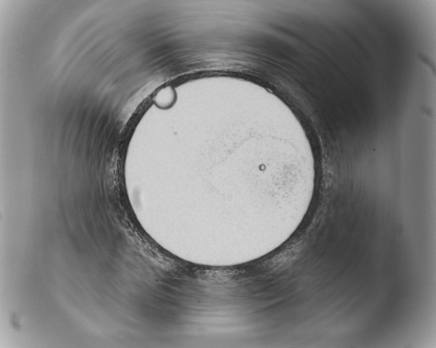 X0000103950875200810171836