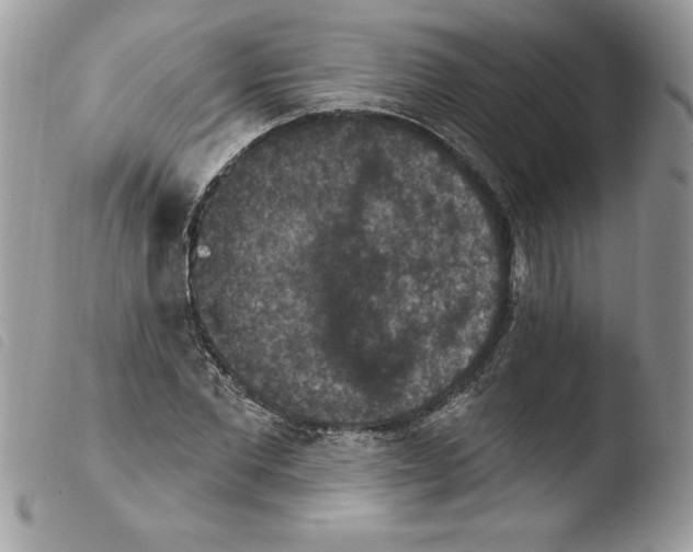 X0000103950877200810171836