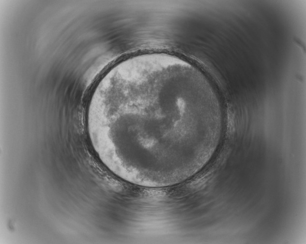 X0000103950878200810171836
