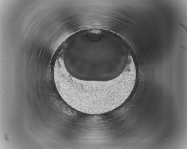 X0000103950879200810171836