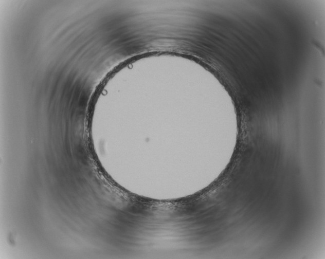 X0000103950880200810171836