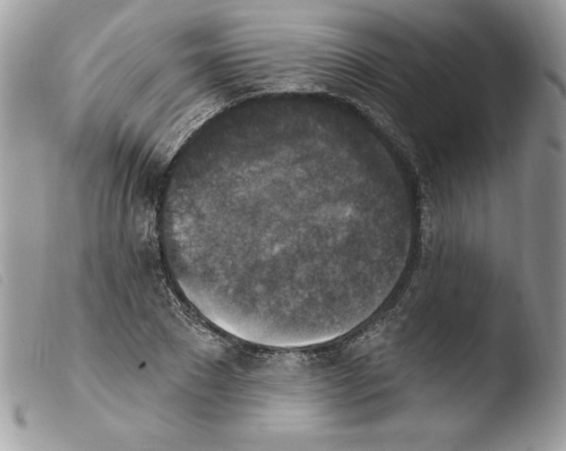 X0000103950881200810171836