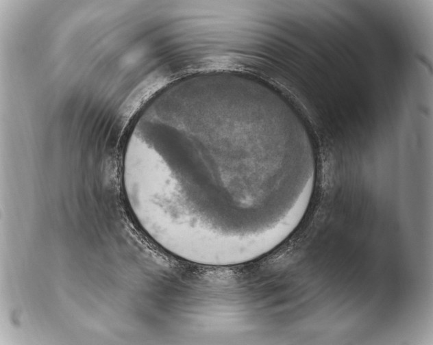 X0000103950882200810171836