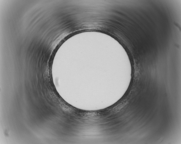 X0000103950883200810171836