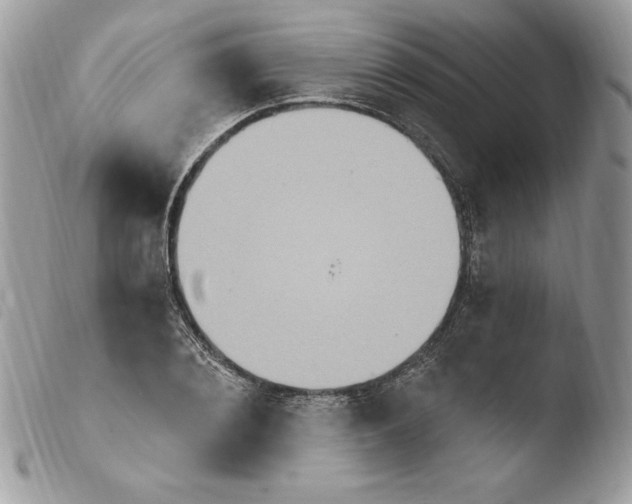 X0000103950884200810171836