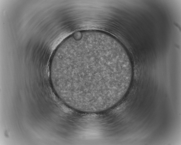 X0000103950885200810171836