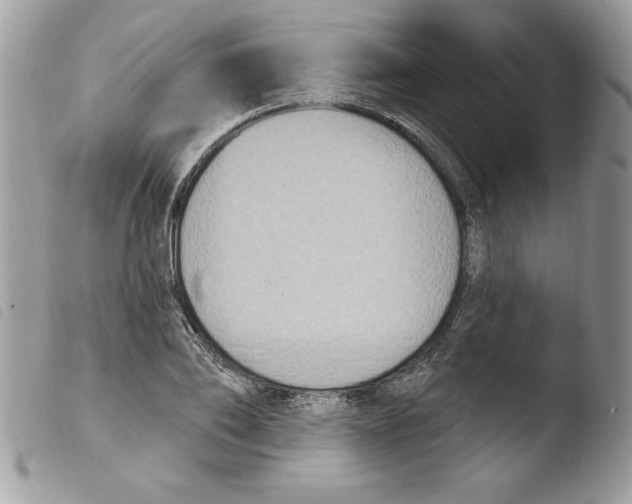 X0000103950886200810171836