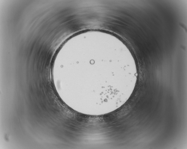 X0000103950887200810171836