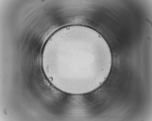 X0000103950888200810171836