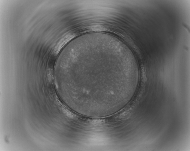 X0000103950889200810171835