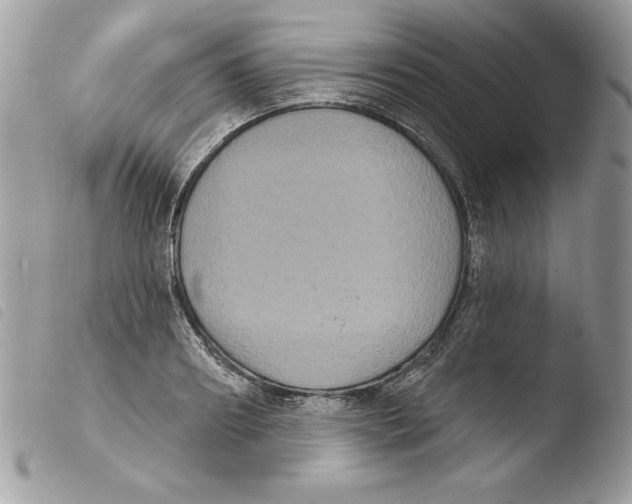 X0000103950890200810171835