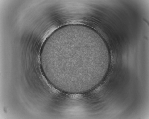X0000103950893200810171835