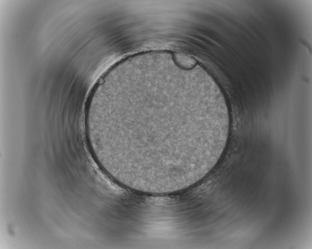 X0000103950894200810171835