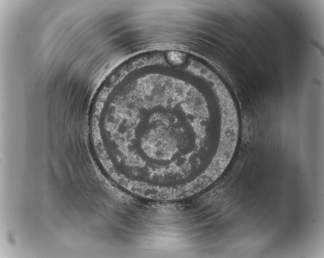X0000103950895200810171835