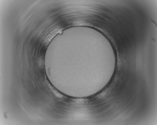 X0000103950897200810171835