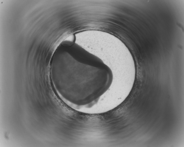 X0000103950899200810171835