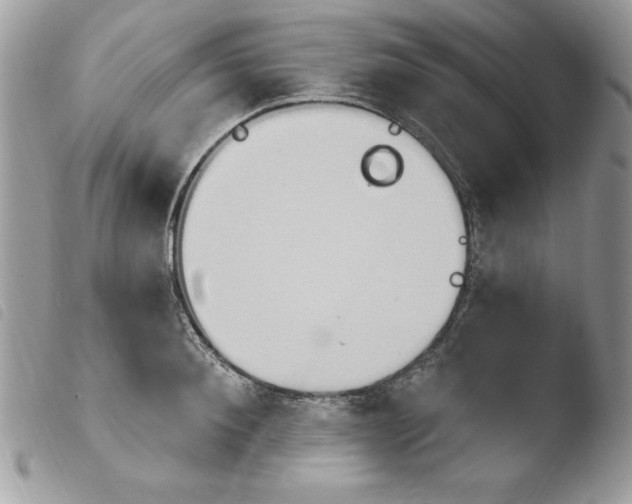 X0000103950900200810171835