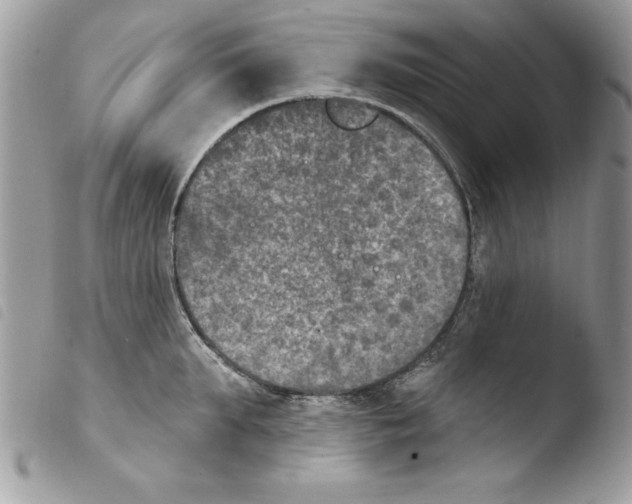 X0000103950903200810171835
