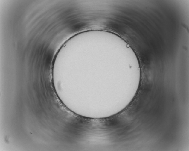 X0000103950904200810171835