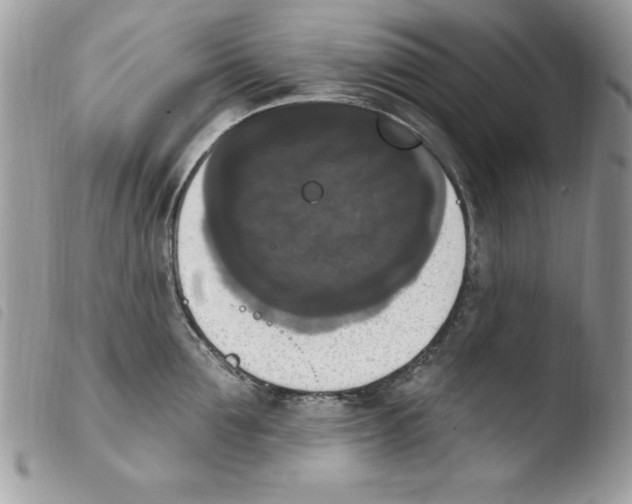 X0000103950907200810171835